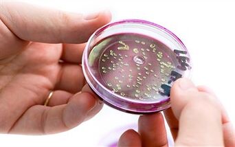 Bacteria in prostate secretion